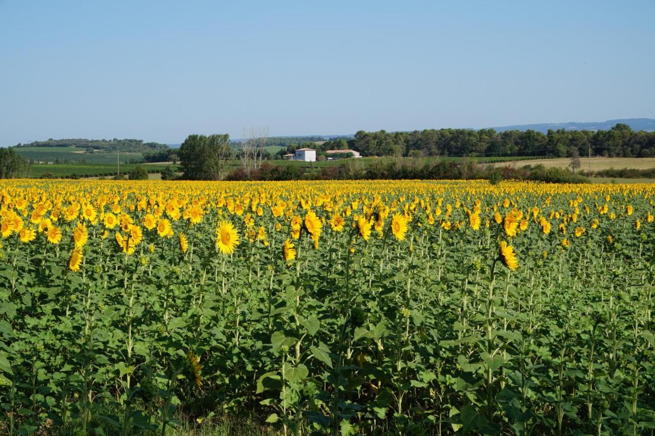 Le Clos Des Troubadours Pennautier Luaran gambar